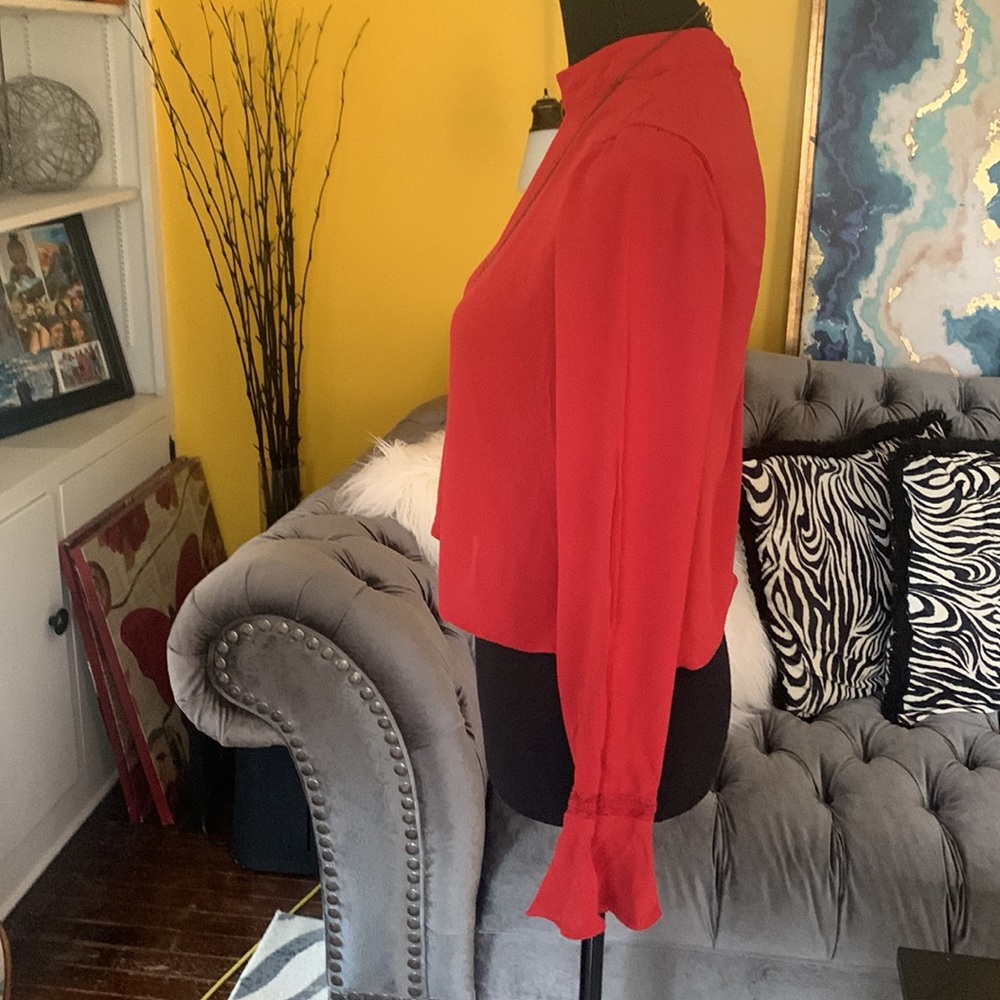 Forever 21 rust orange crop top with bell sleeves - Picture 5 of 8